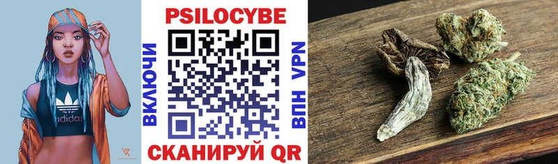 Галлюциногенные грибы Psilocybine cubensis  сколько стоит  Великий Новгород 