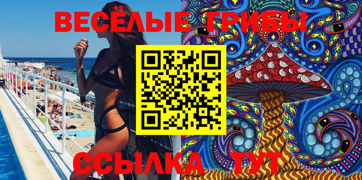 Псилоцибиновые грибы Psilocybine cubensis  Великий Новгород  Псилоцибиновые грибы Psilocybe 