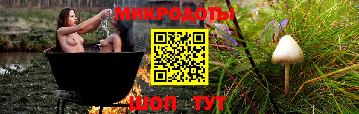 Галлюциногенные грибы GOLDEN TEACHER  Галлюциногенные грибы ЛСД  Великий Новгород  Вход с VPN 