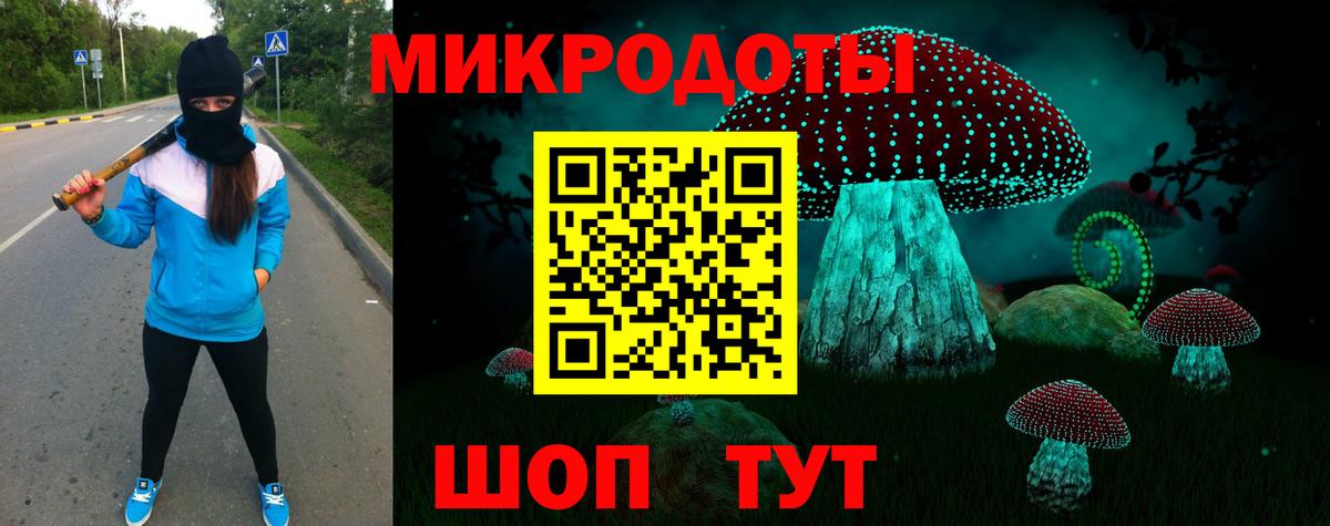 Псилоцибиновые грибы GOLDEN TEACHER Великий Новгород