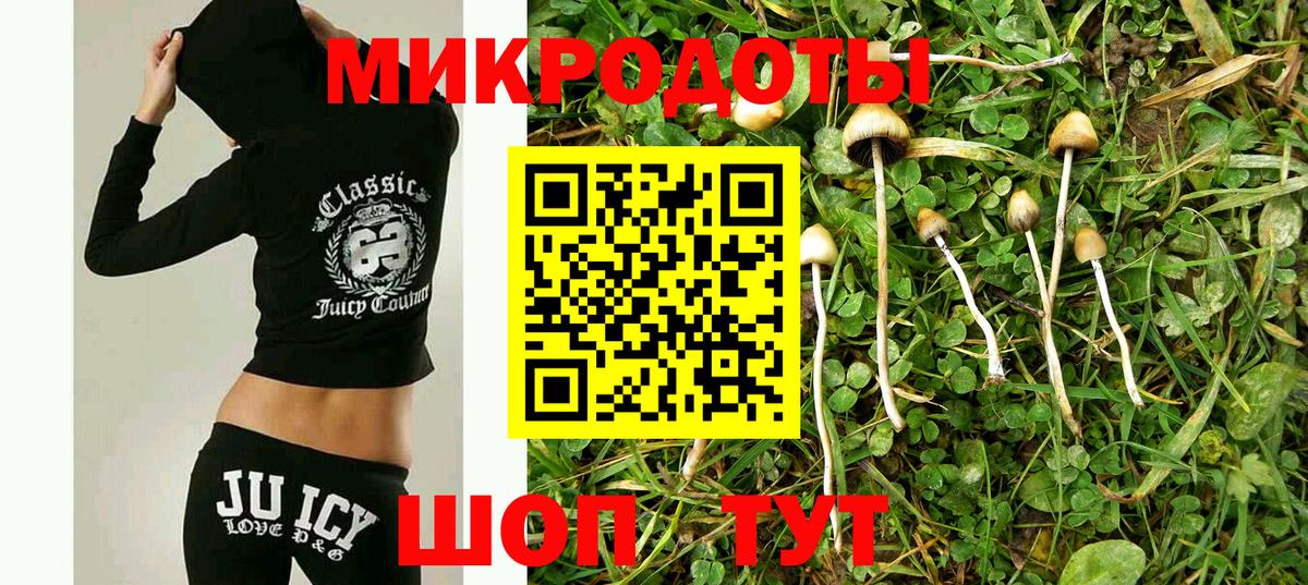 Галлюциногенные грибы Psilocybe Великий Новгород